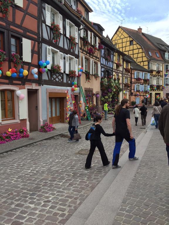 Les Appartements De Home Petite Venise Colmar Eksteriør billede