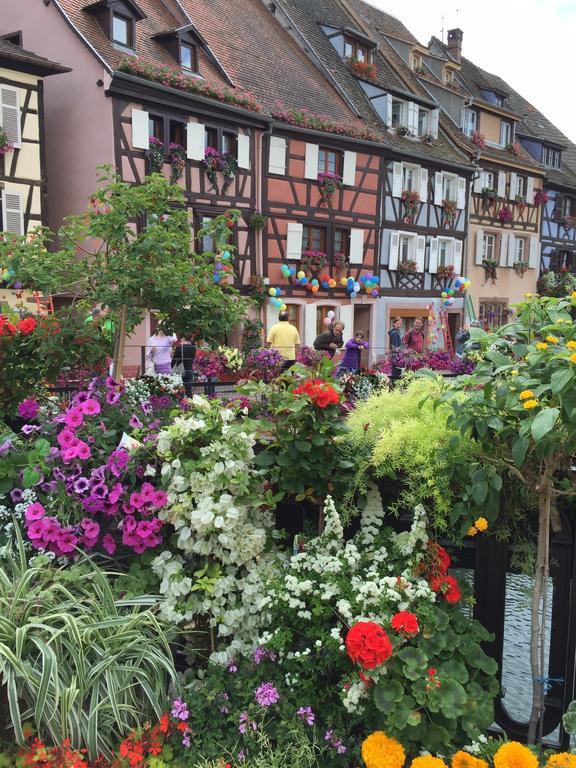 Les Appartements De Home Petite Venise Colmar Eksteriør billede