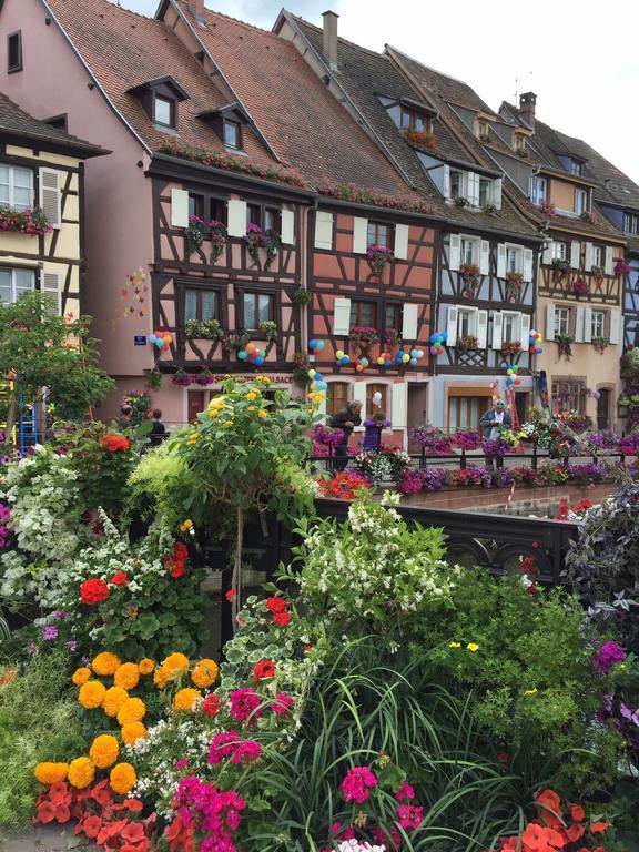 Les Appartements De Home Petite Venise Colmar Eksteriør billede