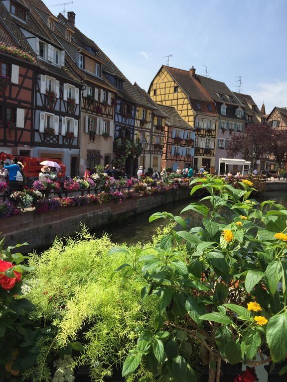 Les Appartements De Home Petite Venise Colmar Eksteriør billede