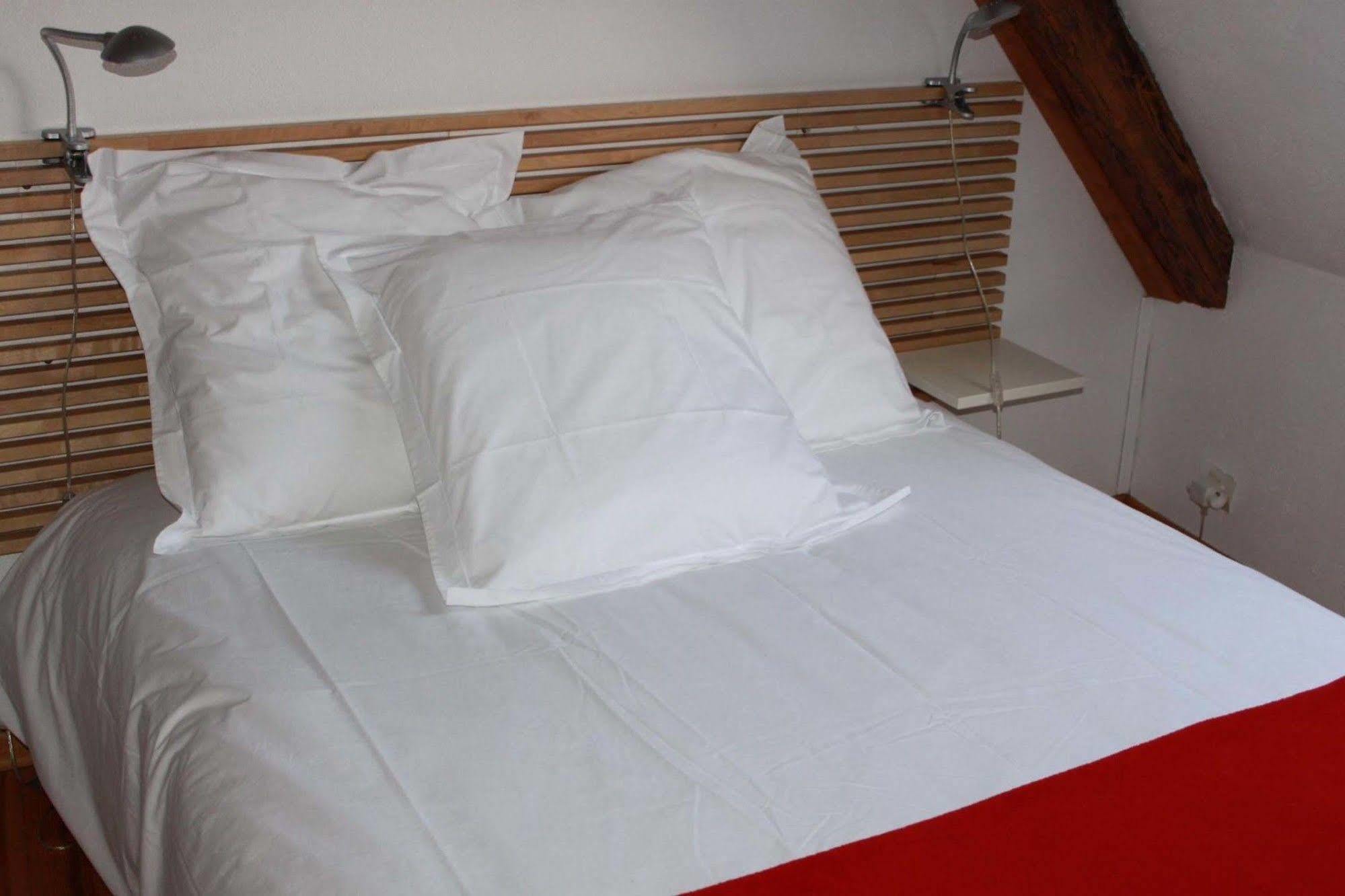 Les Appartements De Home Petite Venise Colmar Eksteriør billede