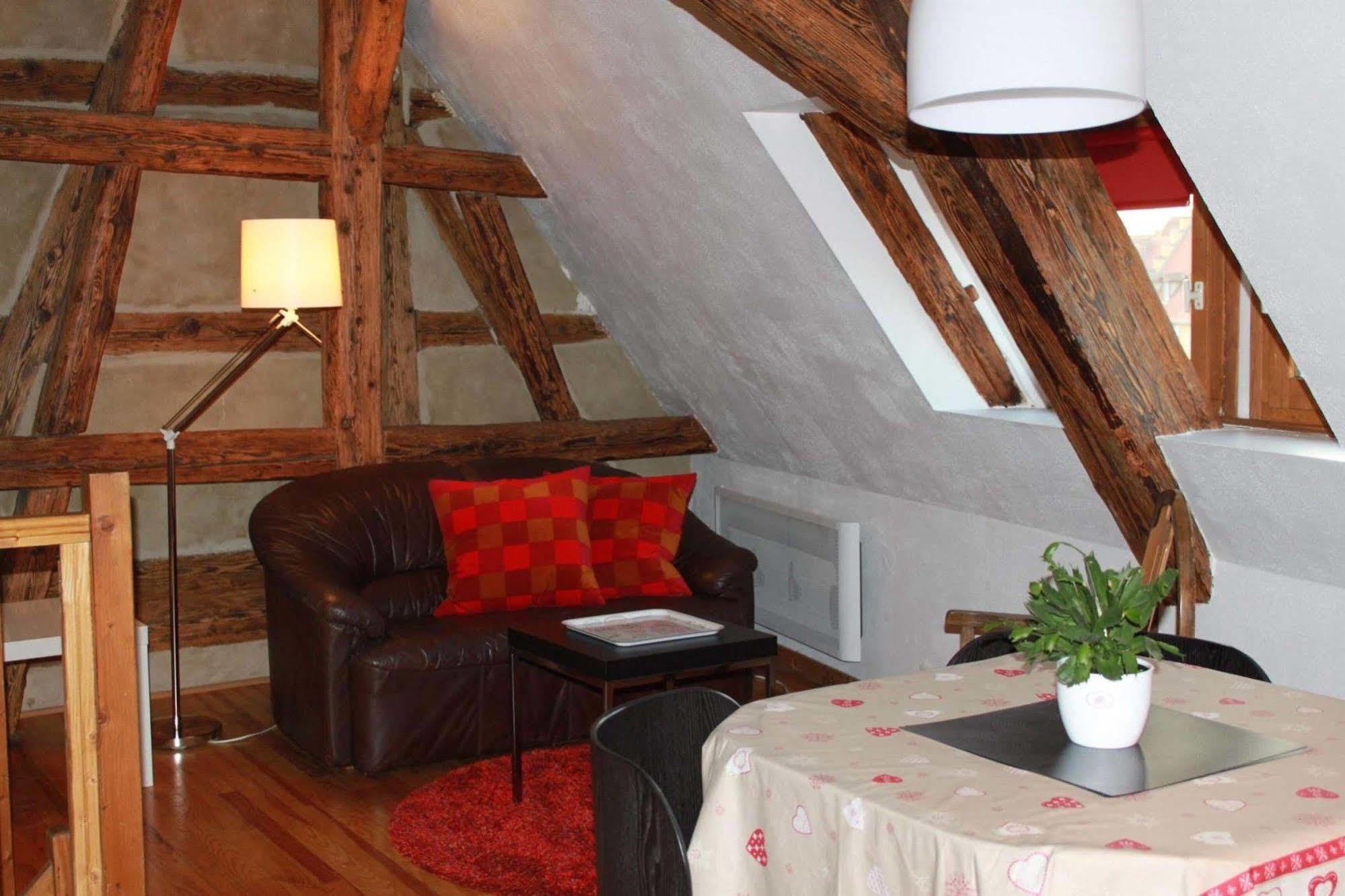 Les Appartements De Home Petite Venise Colmar Eksteriør billede