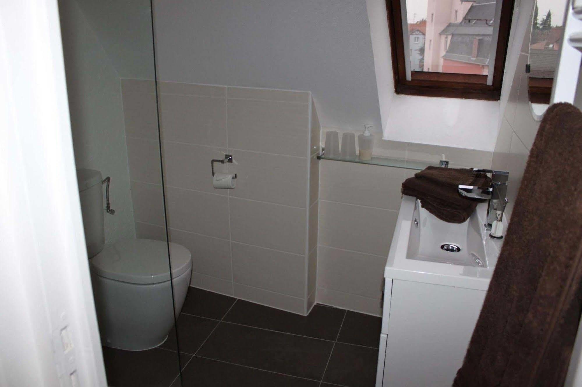 Les Appartements De Home Petite Venise Colmar Eksteriør billede