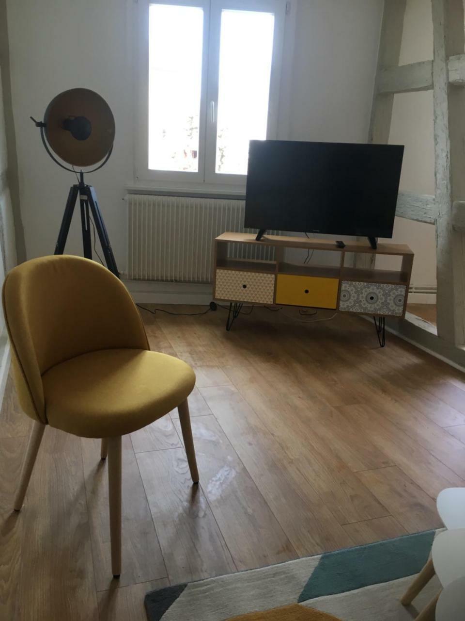 Les Appartements De Home Petite Venise Colmar Eksteriør billede