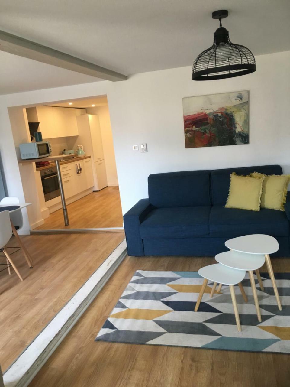 Les Appartements De Home Petite Venise Colmar Eksteriør billede