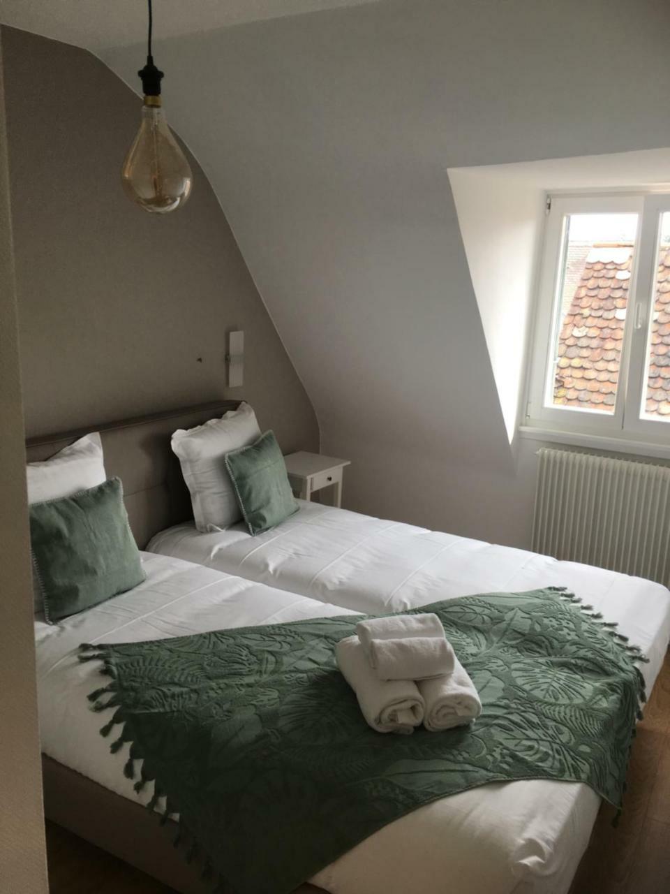 Les Appartements De Home Petite Venise Colmar Eksteriør billede