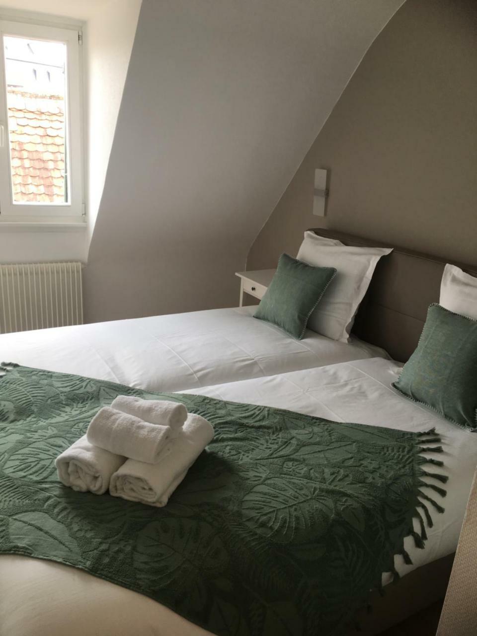 Les Appartements De Home Petite Venise Colmar Eksteriør billede